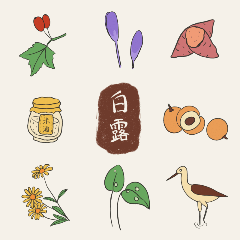 适合手账的二十四节气简笔画