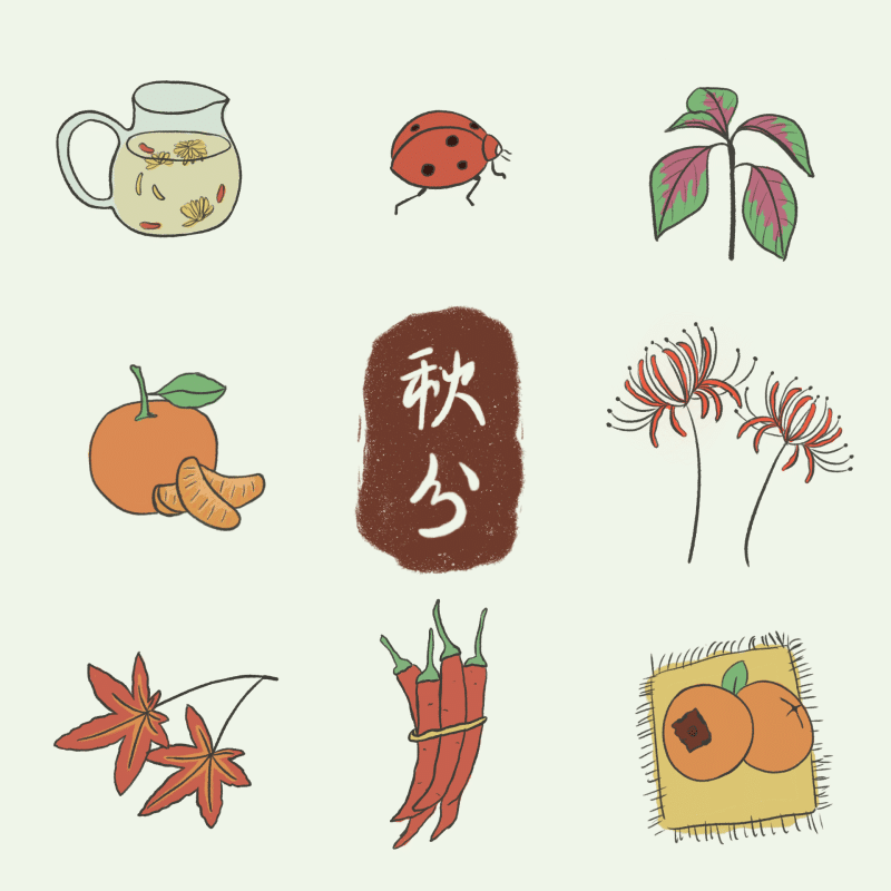 适合手账的二十四节气简笔画——秋分