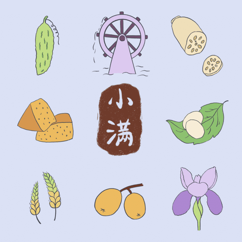 适合手账的二十四节气简笔画